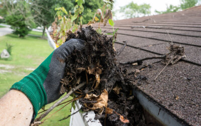 Easy Gutter Cleaning: Tips for Safe and Simple Maintenance