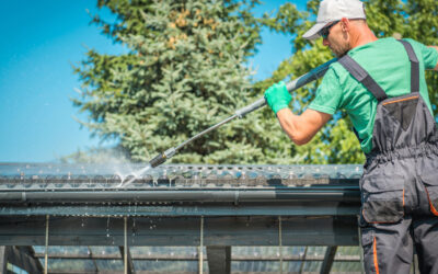 Upgrade Your Gutter Cleaning with Pro Gutter Cleaners